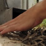 Get Professional Gutter Replacement Services in Indianapolis